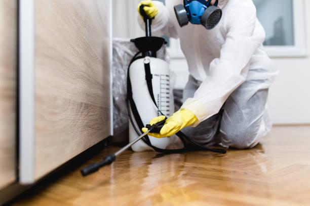 Best Mosquito Control Services  in Taylor, AZ