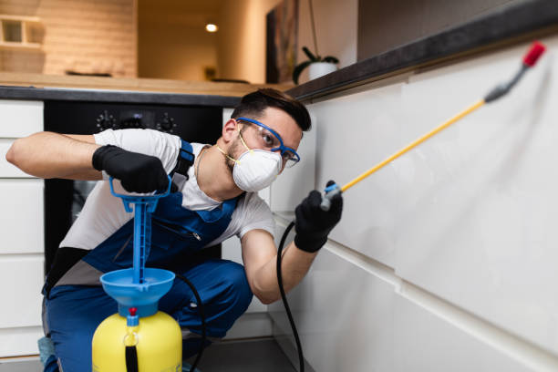 Best Best Pest Control Companies  in Taylor, AZ