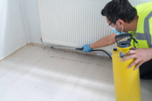 Best Affordable Pest Control Services  in Taylor, AZ
